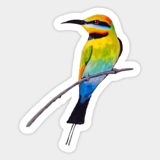 Rainbow Bee-eater Sticker